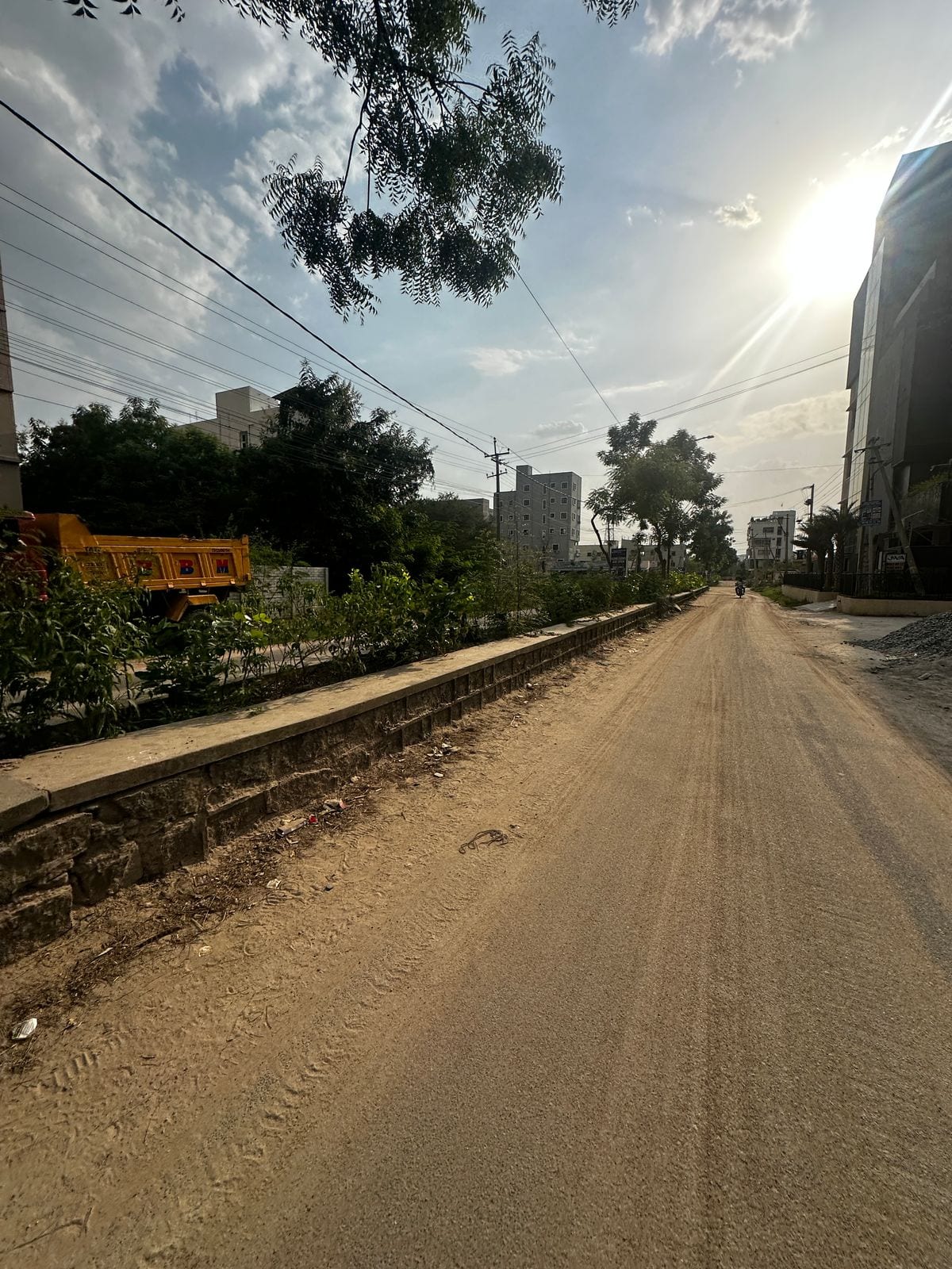 Plot view