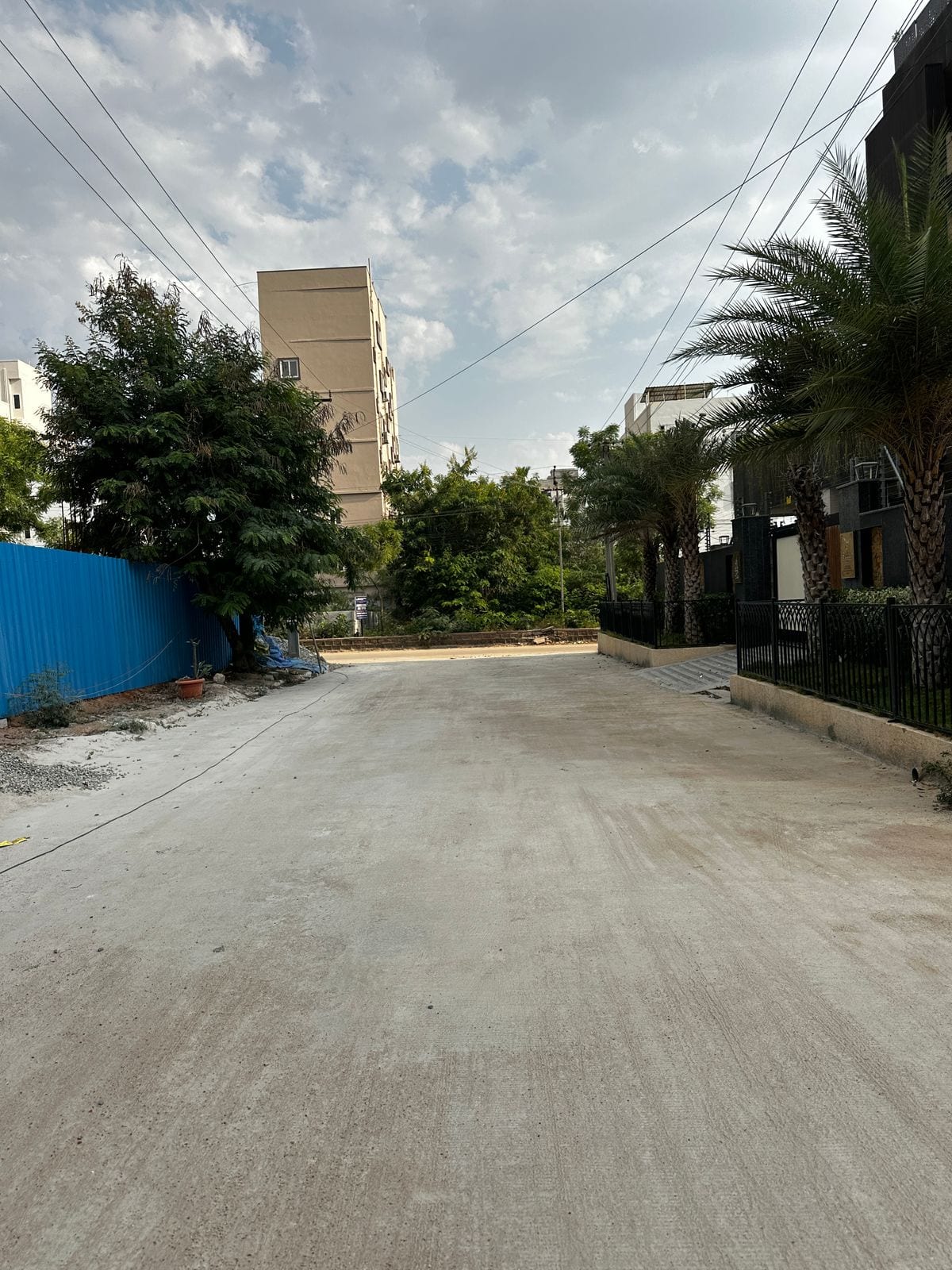 Plot view