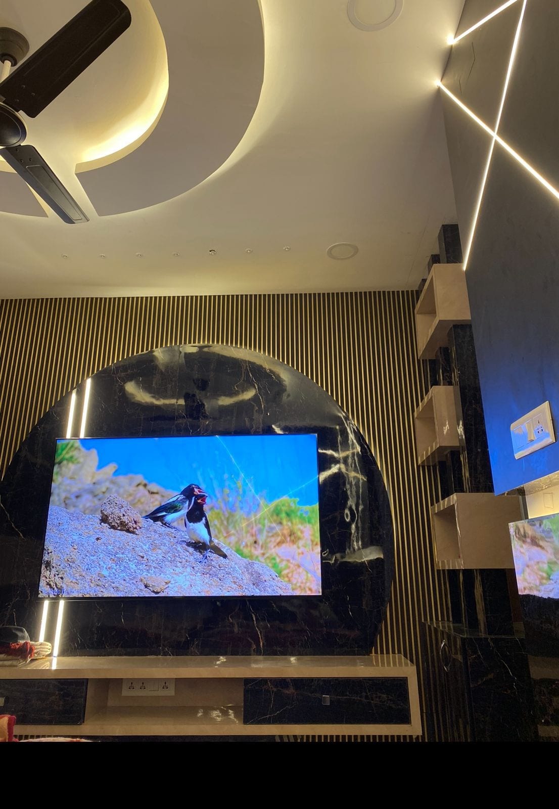 View