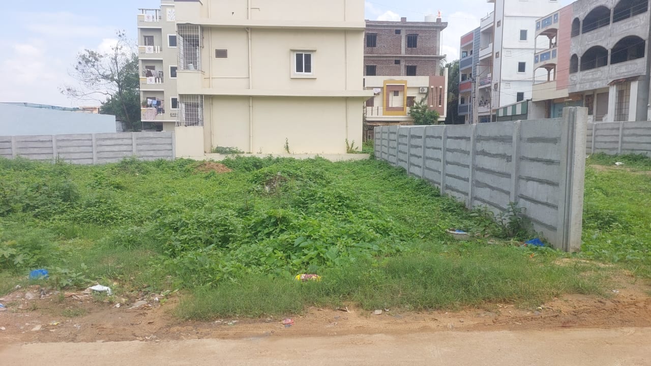 Plot view